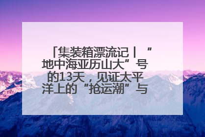 集装箱漂流记丨“地中海亚历山大”号的13天，见证太平洋上的“抢运潮”与“过剩潮”